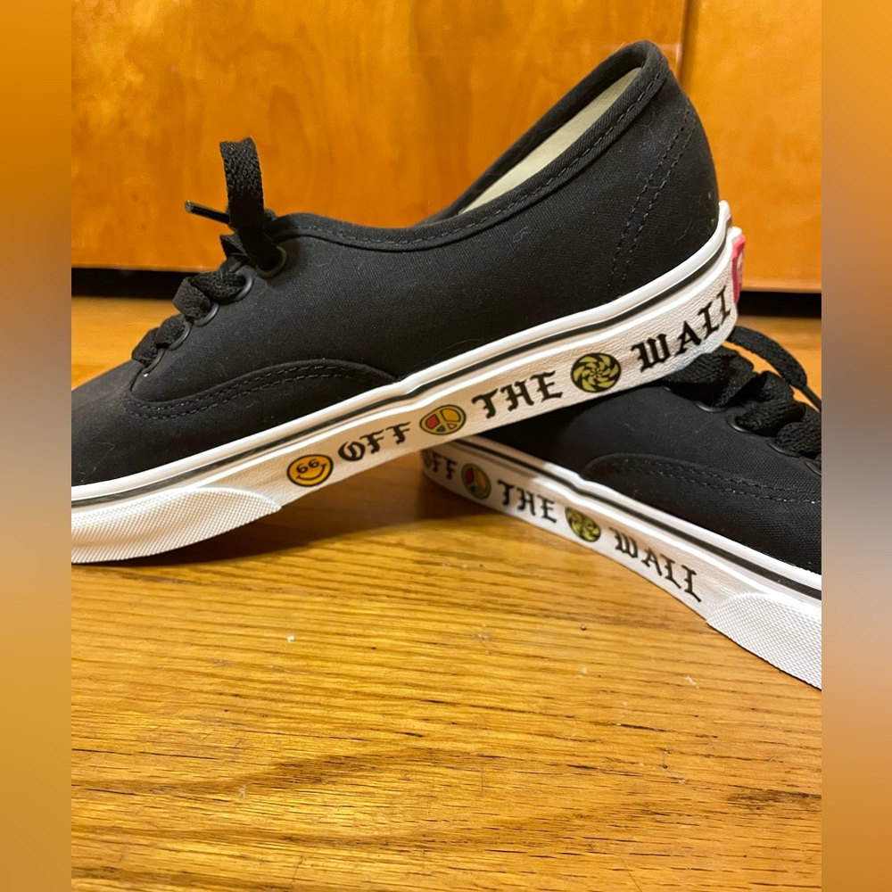 Vans canvas skate shoes in black